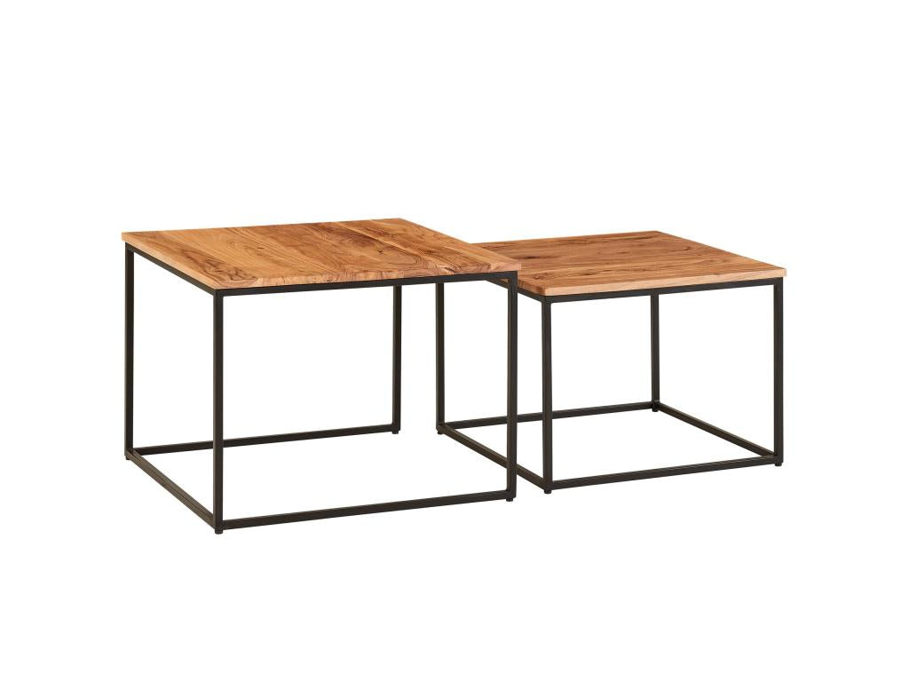 Table Basse de Salon Lot de 2 Table de Canap¨¦ Bois Metal Industriel PJGT25739