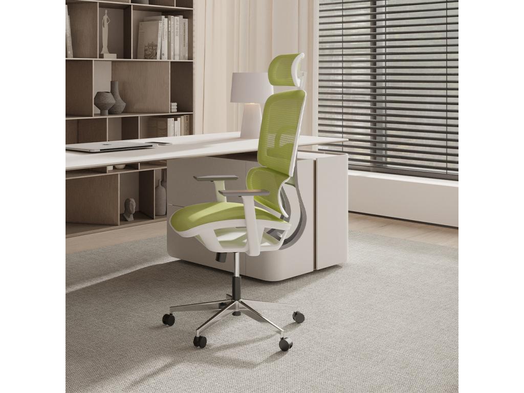 Chaise de bureau ergonomique avec Chezlova et accoudoirs - Chezlova Vert WDDT35756